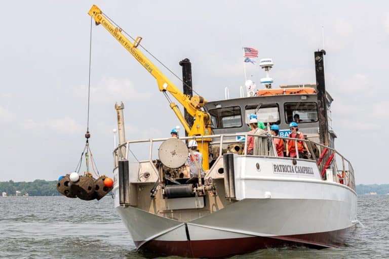 SLIDESHOW Oyster Reef Balls Sunk Off Chesapeake Beach Chesapeake Bay