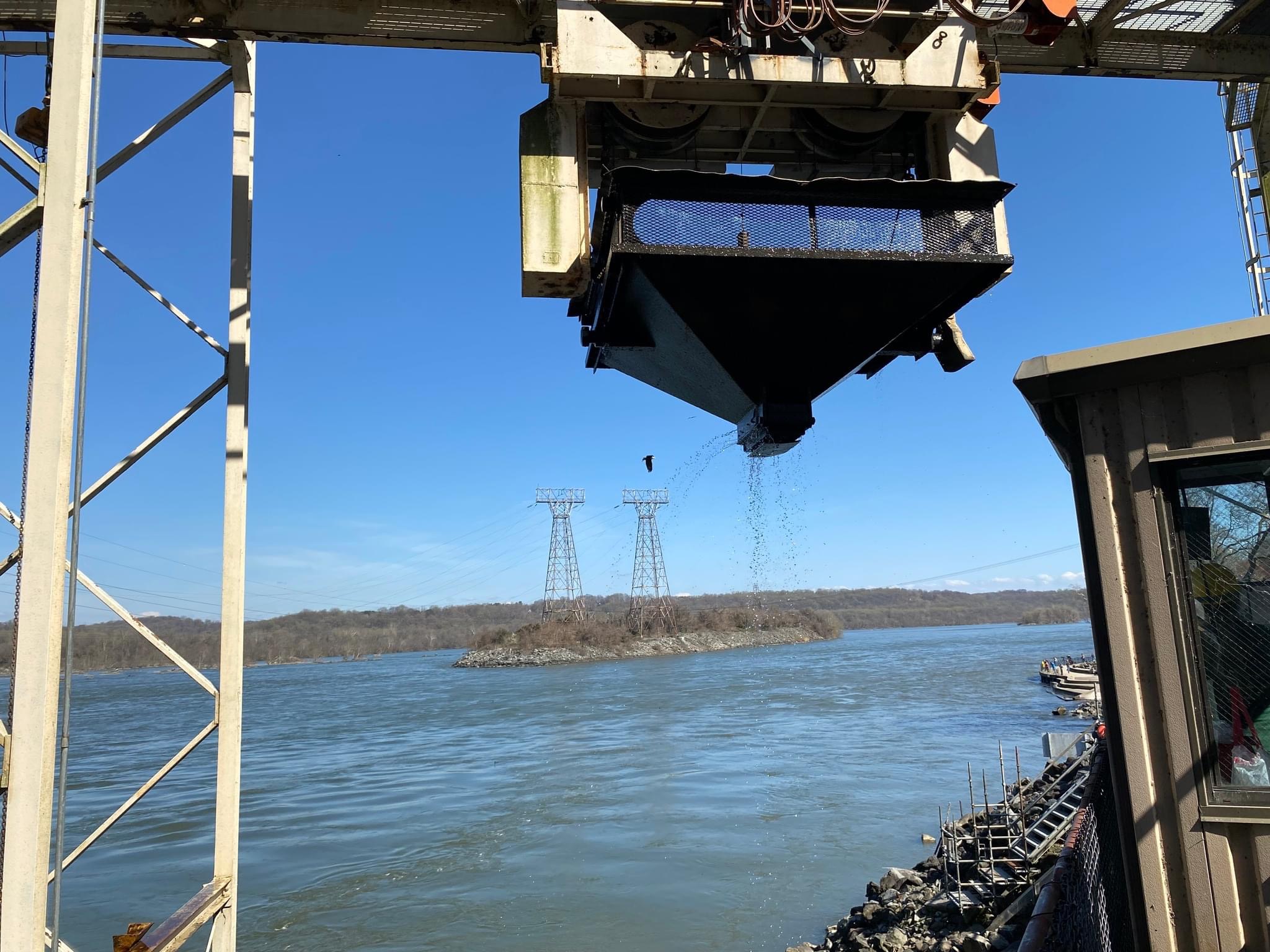 Thousands Of Snakeheads Other Invasives Intercepted By Conowingo Dam