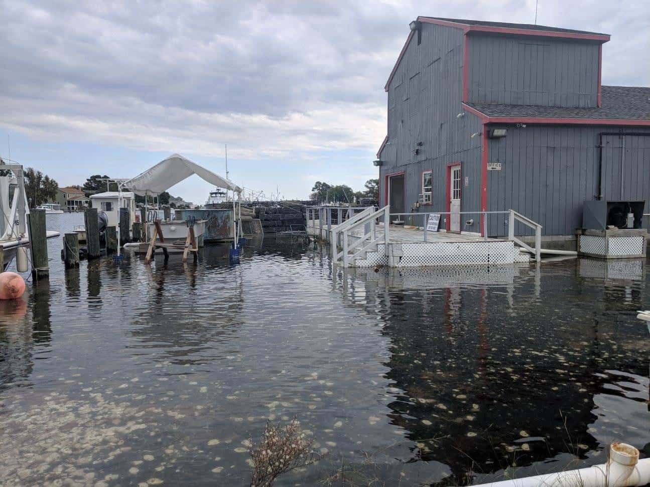 SLIDESHOW Coastal Flooding Felt All Over Bay Region Chesapeake Bay Magazine