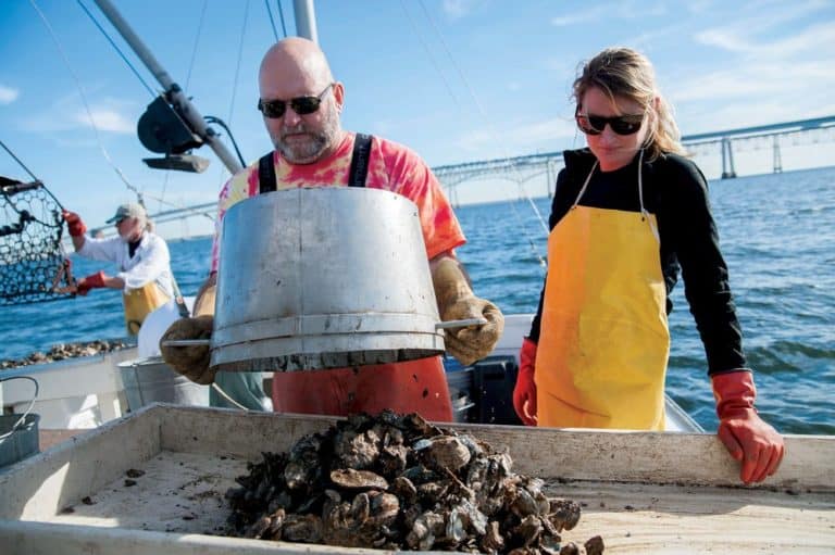 Riding On The Maryland Oyster Survey 