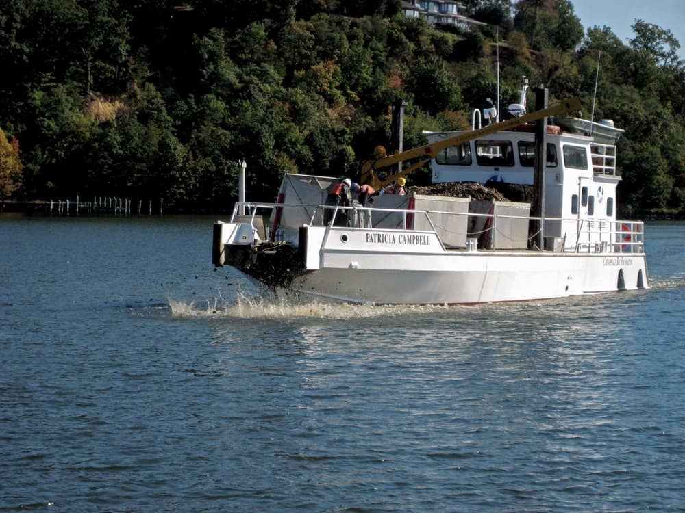   The  Patricia Campbell  spreading oysters. -  Photo by CBF Staff   