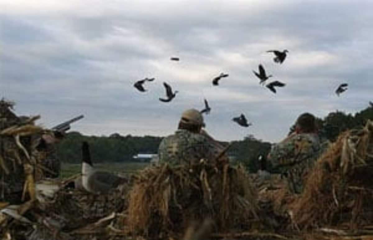 DNR Taking Public Input on Md. Waterfowl Hunting Season Chesapeake