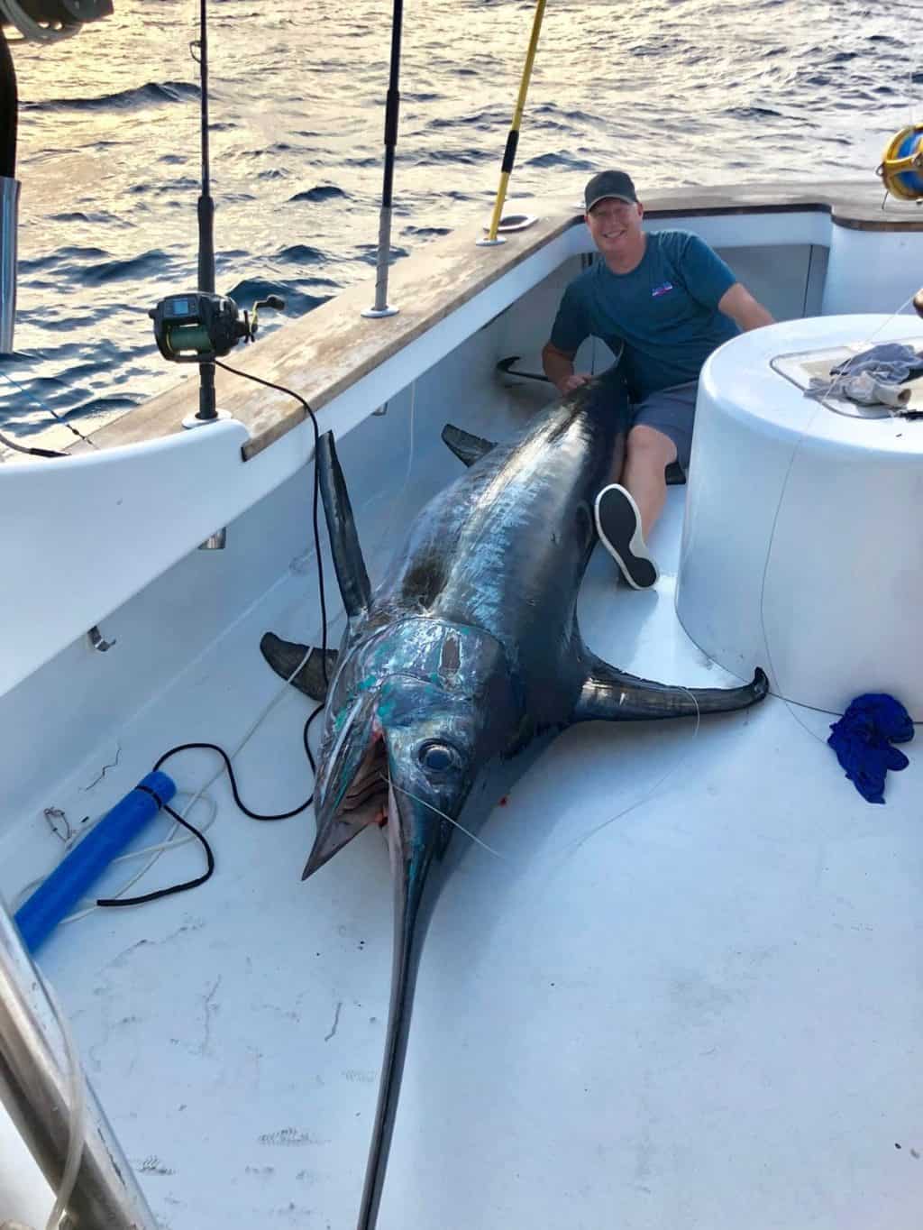 Wild Chesapeake State Record Swordfish Caught in Va. Chesapeake Bay