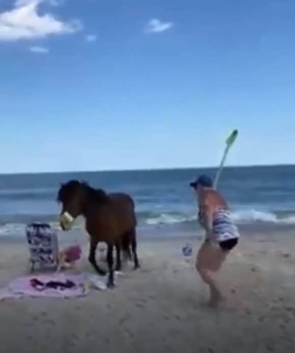 Safety - Assateague Island National Seashore (U.S. National Park