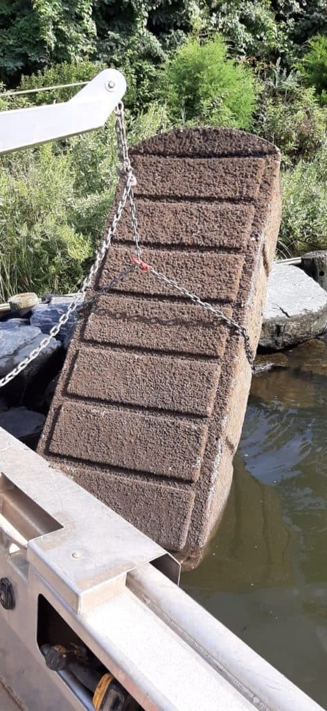 Boy Finds Intact Prehistoric Shell in Va.'s Urbanna Creek