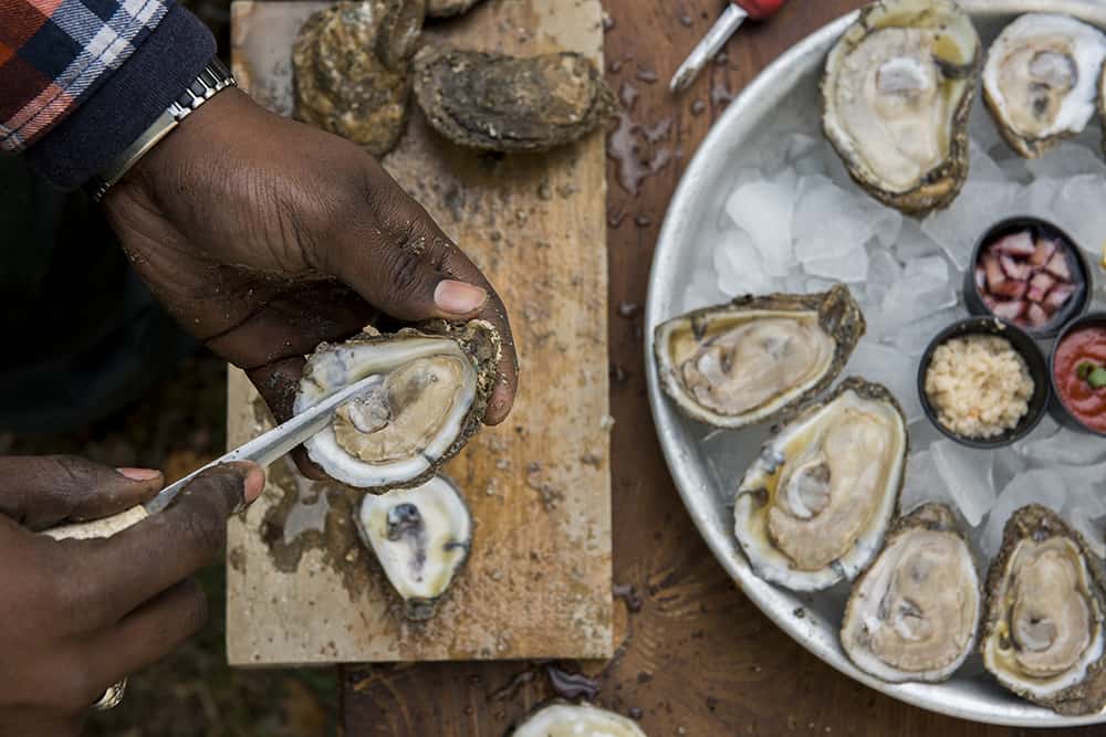 Oyster Knife, True Chesapeake Oyster Co - Tools