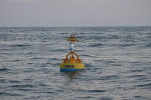 New Ocean Buoy Monitors Whales off Md.'s Atlantic Coast