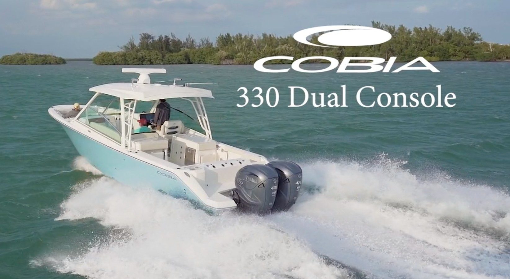 New Cobia 330 DC at RT 113 Boat Sales