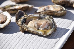 U.S. Shucking Champs Set for This Weekend as Oyster Festivals Abound