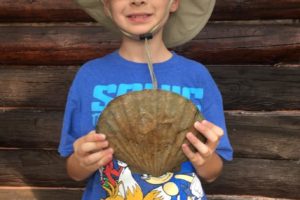 Boy Finds Intact Prehistoric Shell in Va.'s Urbanna Creek