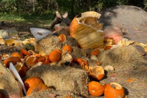 Don't Trash it- Donate Holiday Food Waste for Composting