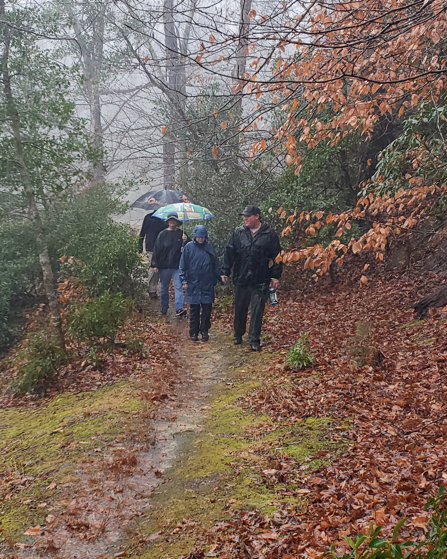 First Day Hikes Extends all Weekend, Popularity Continues