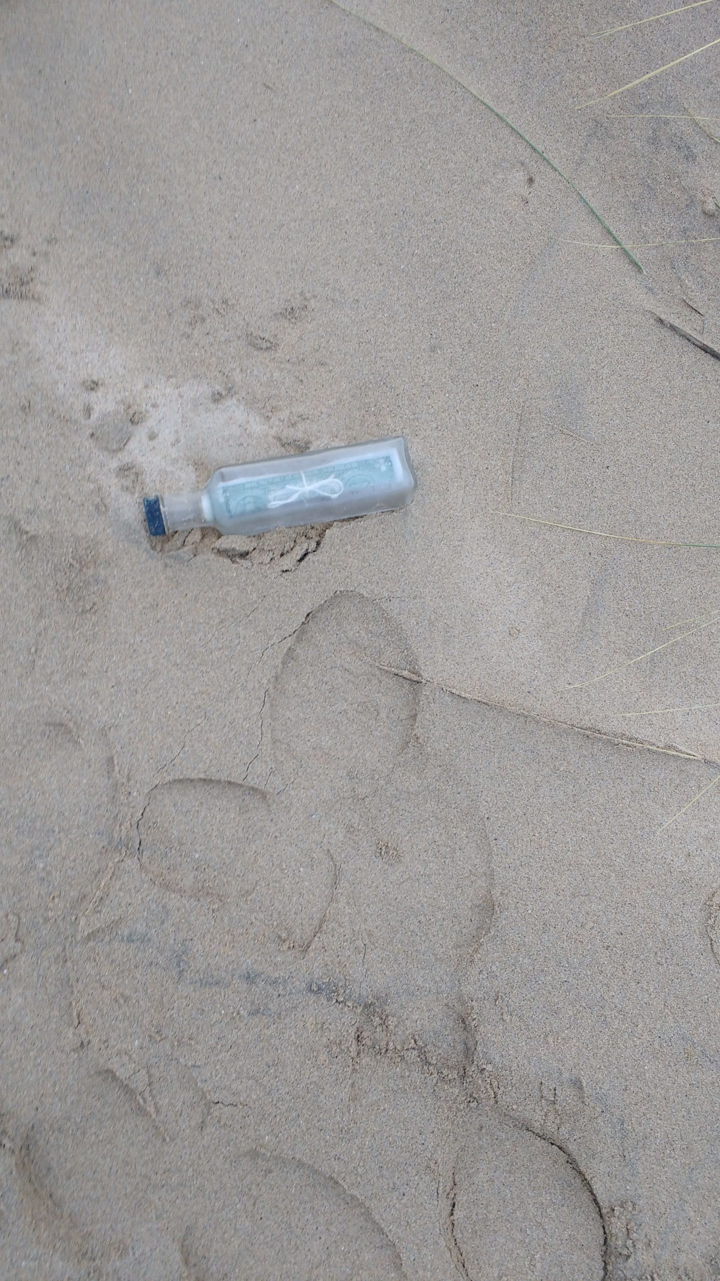 VIDEO: OCMD Message in Bottle Reaches Ireland Beach