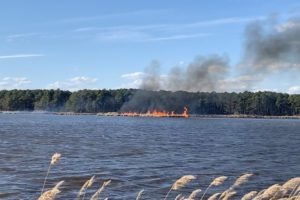 VIDEO: Prescribed Burns Consume 1,700 Acres of Marsh (But it's a Good Thing)
