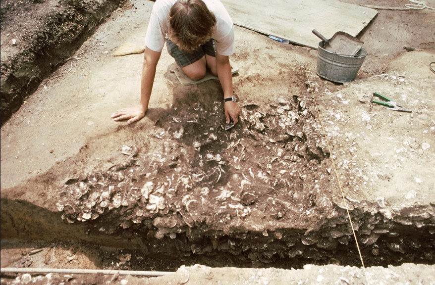 VIDEO: Colonial Oysters Recycled from St. Mary's Archaeological Dig