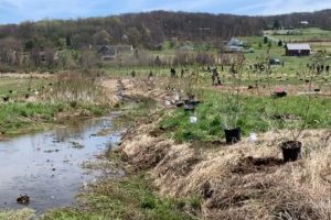 VIDEO: CBF Holds Largest-Ever Tree Planting In Potomac Watershed
