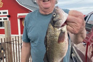 Unexpected Catch Breaks White Perch Md. Record