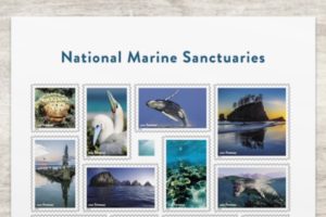 Md. Photographer's Mallows Bay Image Featured on New U.S. Postage Stamp