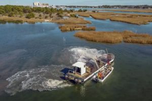 Lynnhaven River Oyster Reef Projects Under Fire