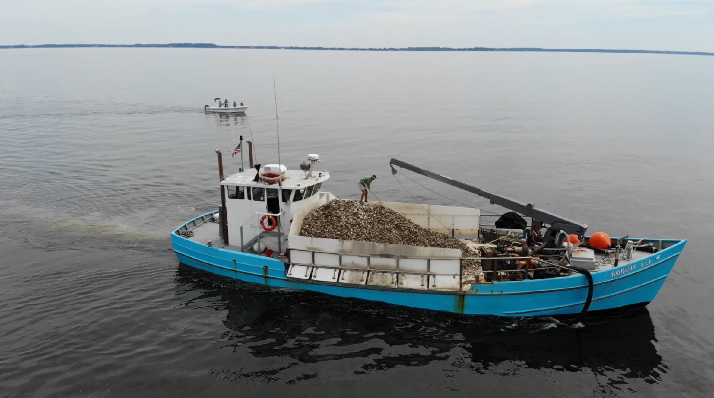 VIDEO: Eastern Bay Oyster Planting "Watch Party"