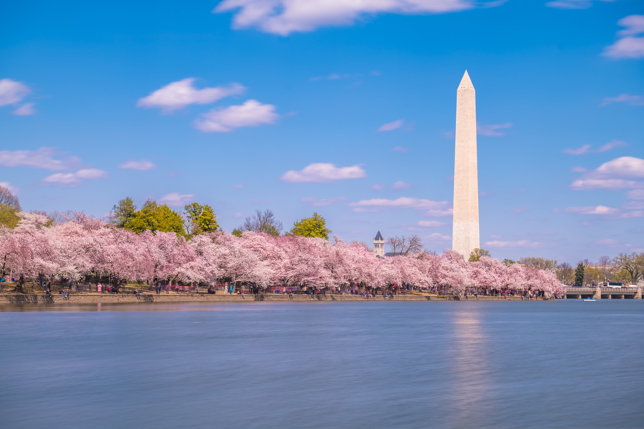 DC Cherry Blossom Festival Moved up to MidMarch Due to Warm Winter