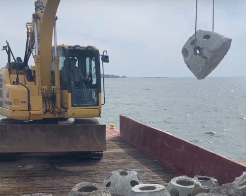VIDEO: Magothy Oyster Reef Expansion Dedicated to Young Teen