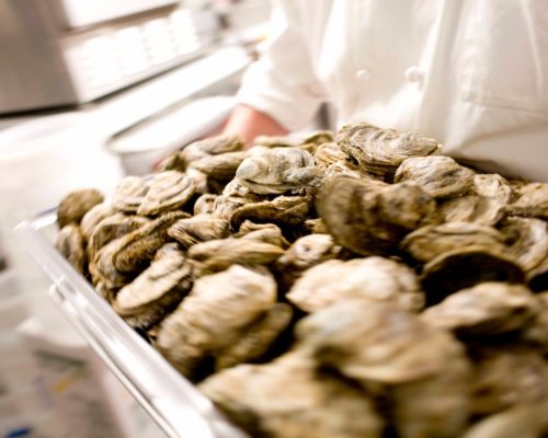 Oysters and Rockfish and Crabs – Oh My!