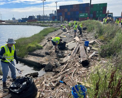 VA’s Largest Shoreline Cleanup Nets 100,000 Pounds of Litter