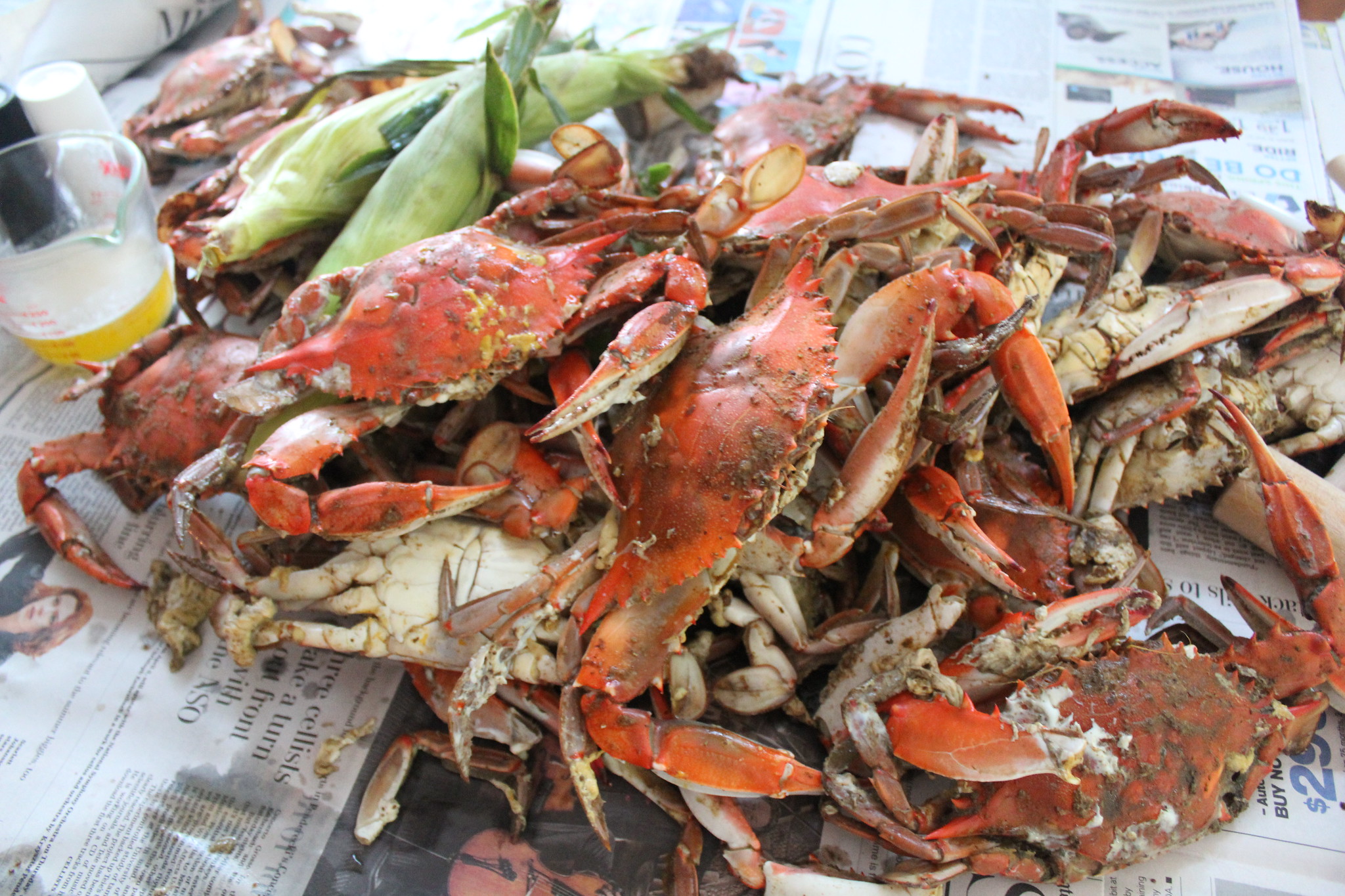 promising-crab-numbers-don-t-translate-to-lower-crab-feast-prices