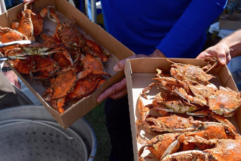 Maryland Seafood Festival Returns to City Dock Roots Chesapeake Bay