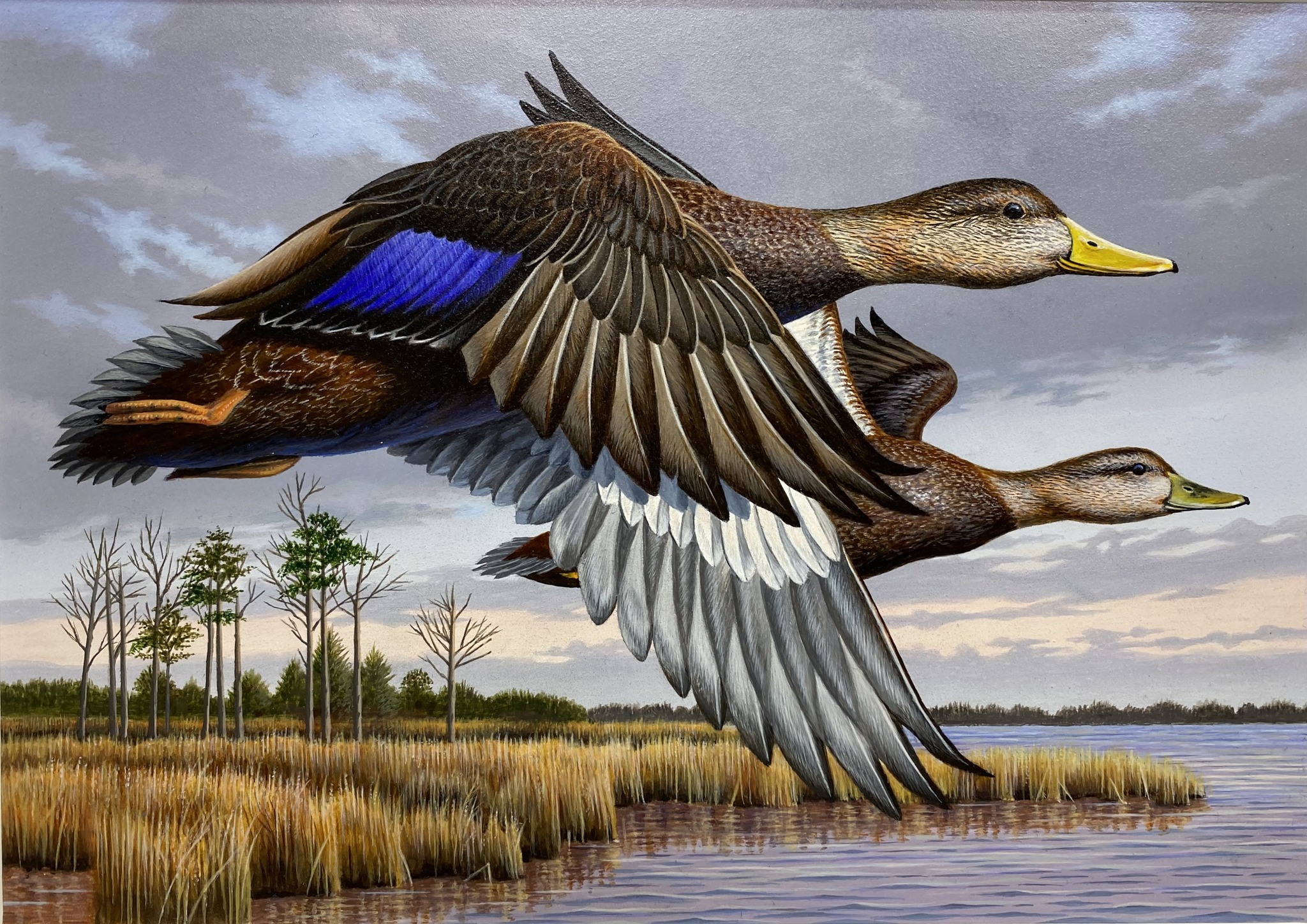 50th MD Migratory Game Bird Stamp Winner Named at Waterfowl