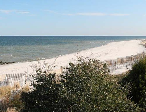Best Spots for Beachcombing the Chesapeake