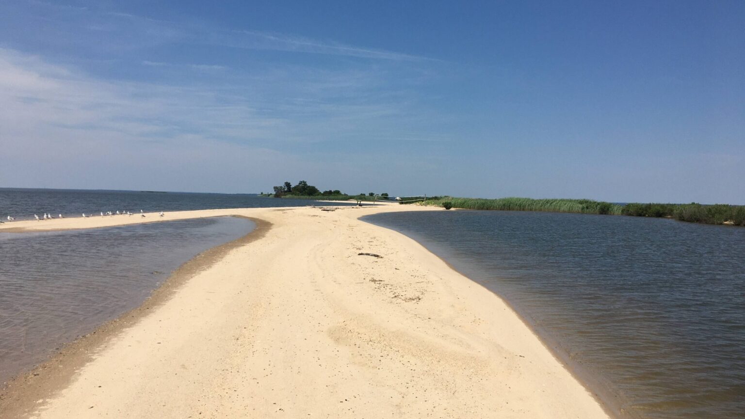 How to Explore the Disappearing Shark Tooth Island | Chesapeake Bay