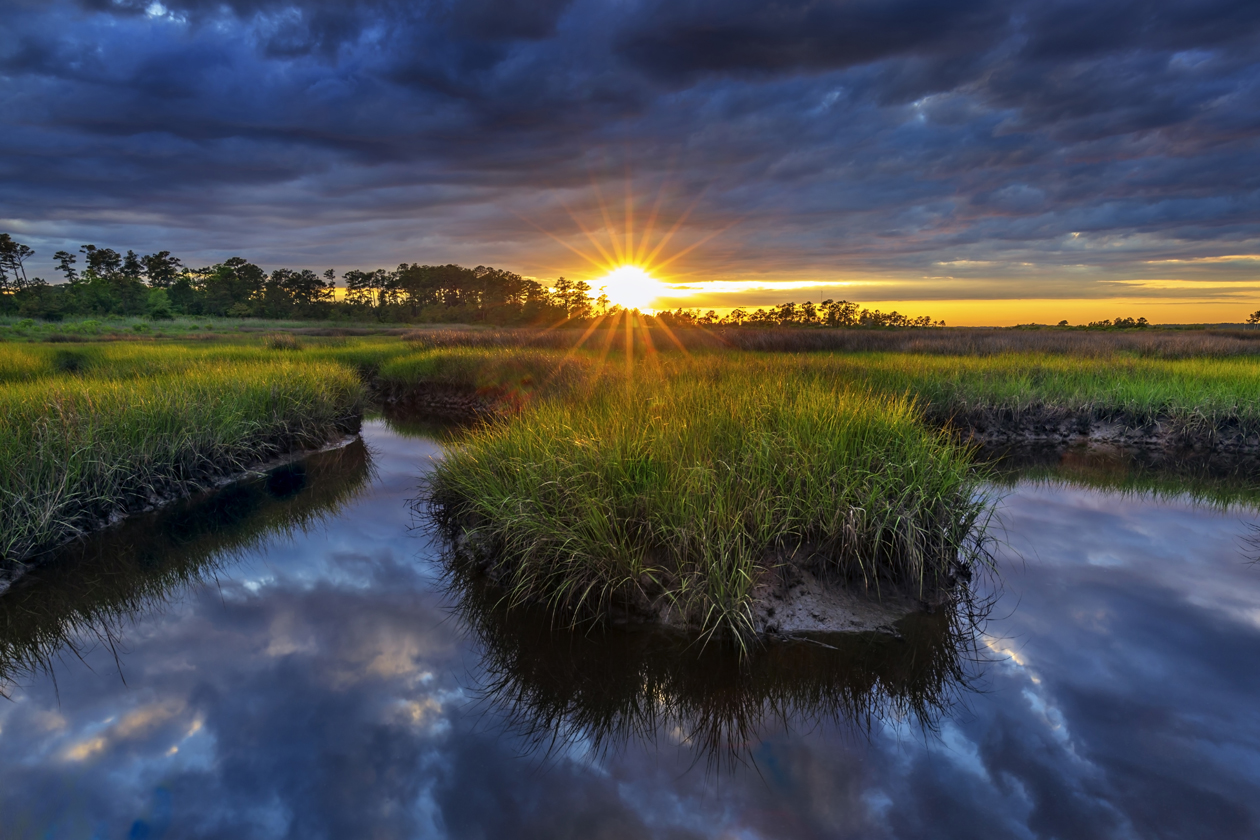 $100 Million Gift to William & Mary Will Start Marine Science School ...