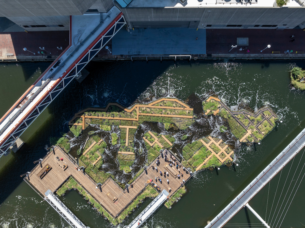 PHOTOS: The National Aquarium’s new Living Wetland is free and open to the public