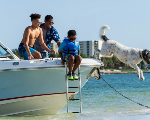 Boat of the Week: Dual Console Whaler 240 Vantage Brings Double the Fun