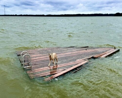 PHOTOS: Thomas Point Light’s “Coyote” Loses Dock to Tropical Storm, Tours Bay