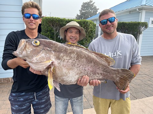 Cartoonish, Yellow-Eyed Fish Sets New Maryland Fishing Record