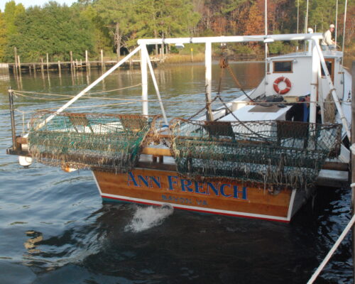 VA’s Proposed Winter Crab Dredge Season is Officially Dead