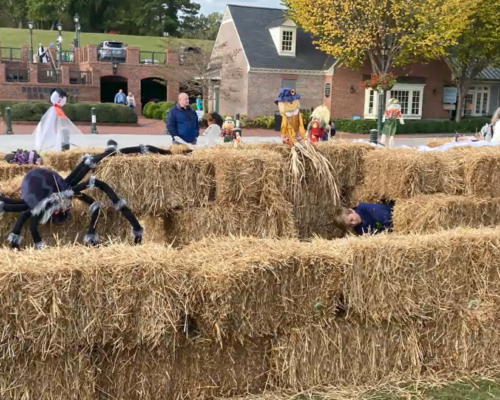 Find Fun-Packed Fall Festivals in Yorktown This Season