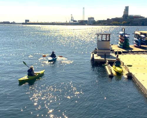 Inner Harbor Ecosystem Gets “C” Grade, City Expands Swimming Events, Paddle Sports