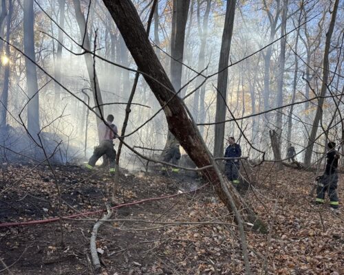 Bay Region Wildfires Continue on Heels of Record Dry Spell