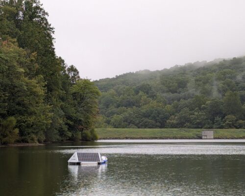 Algae-Fighting Robots Tested at Bay-Region Swimming Holes