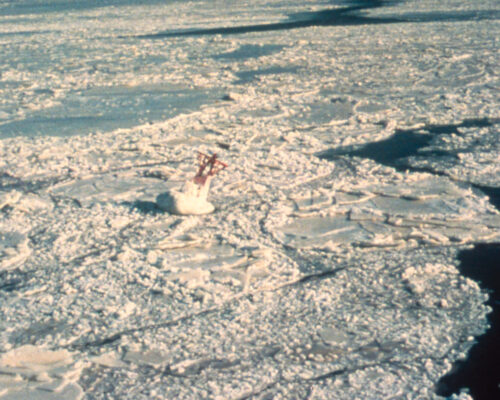 Ice Heroes: A Maryland Pilot’s Firsthand Account of the Historic 1977 Bay Freeze