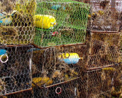 VA Marine Scientists Leads National Program Cleaning up Discarded Fishing Gear, Awarding New Grants