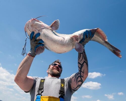 Blue Catfish Cookoff: Top Chefs Go Big at First-Time Competition